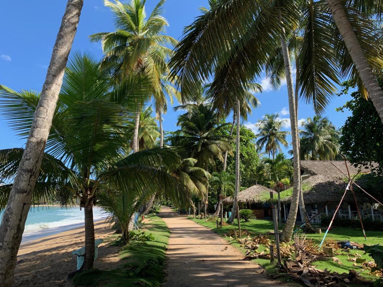 El Mosquito Boutique Hotel Playa Bonita Лас Терренас Экстерьер фото
