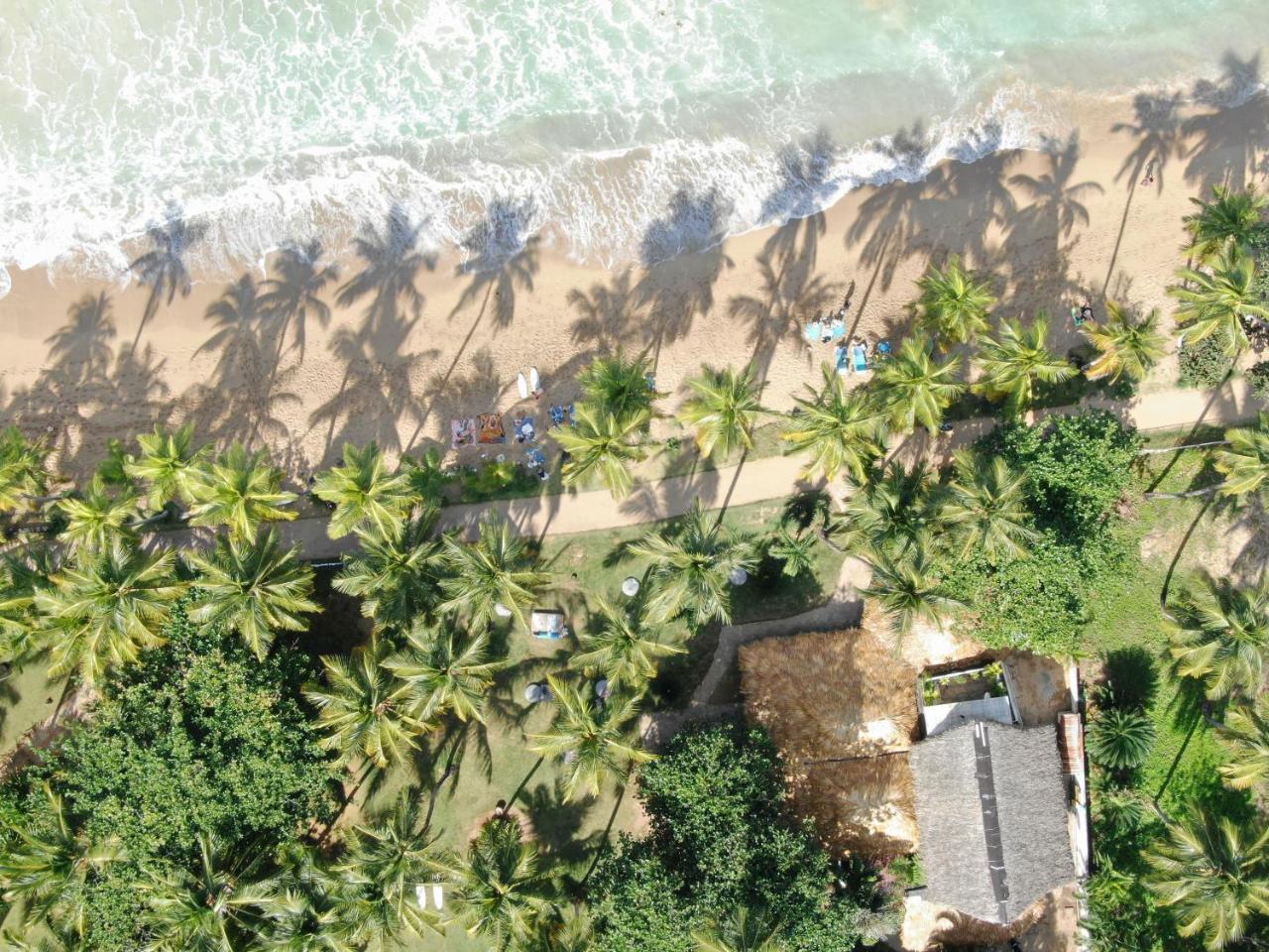 El Mosquito Boutique Hotel Playa Bonita Лас Терренас Экстерьер фото