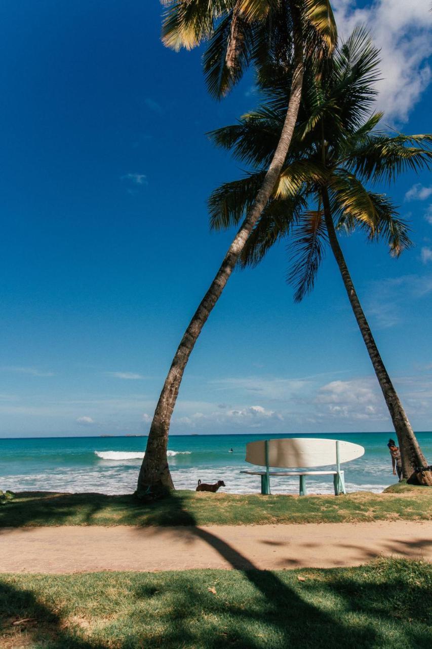 El Mosquito Boutique Hotel Playa Bonita Лас Терренас Экстерьер фото